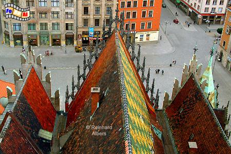 Wrocław (Breslau) - Dach des Rathauses, Polen, Polska, Breslau, Wroclaw, Niederschlesien, foreal, Albers, foto, Rathaus
