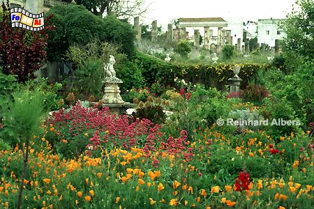 Park/Garten beim Palast von Estoi., Portugal, Algarve, Estoi, Palast, Albers, Foto, foreal,