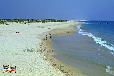 Ilha de Farol - Strand, Portugal, Ilha, Farol, Insel, Strand, Albers, Foto, foreal, Algarve,