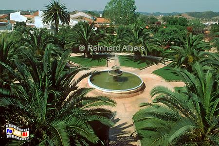 Silves - Palmempark in der Festung, Portugal, Algarve, Silves, Xelb, Albers, Foto, foreal,