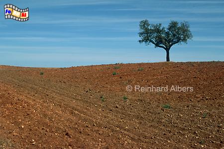Landschaft im Alentejo, Portugal, Algarve, Lagos, Ponta, Piedade, Felsenk�ste, Albers, Foto, foreal,