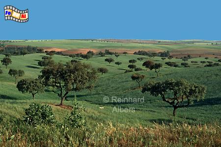 Landschaft im Alentejo, Portugal, Alentejo, Landschaft, Albers, Foto, foreal,
