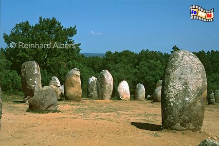 In der Umgebung von Evora bei der Ortschaft Valverde befindet sich der Cromlech (Steinkreis) von Almendres. Er besteht aus 92 im Durchschnitt 2 - 3m hohen Steinen, aufgestellt vor ca. 6000 Jahren., Portugal, Alentejo, Evora, Valverde, Almendres,Steinkreis, Cromlech, Hinkelstein, Menhir, Albers, Foto, foreal,
