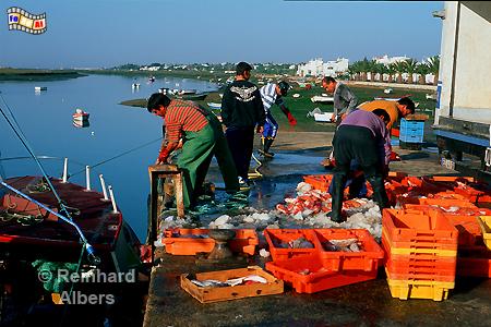 Fischer in Santa Luzia, Portugal, Sandalgarve, Luzia, Fische, Albers, Foto, foreal,