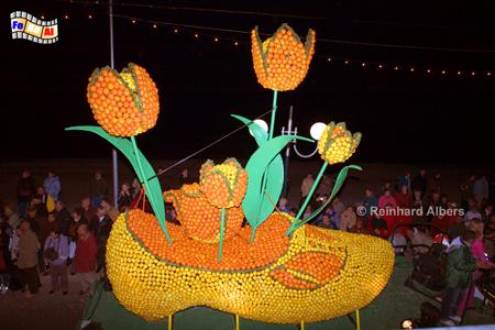 Menton - Zitronenfest, Frankreich, France, Cte, Azur, Menton, Zitronenfest, foreal, Albers, Bild, Foto