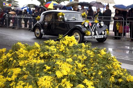 Mandelieu-la-Napoule Mimosenfest, Frankreich, France, Mandelieu, Côte, Azur, Napoule, Mimosenfest, foreal, Albers
