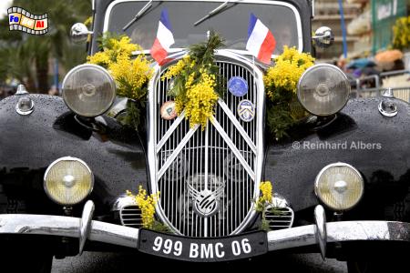 Mandelieu-la-Napoule Mimosenfest, Frankreich, France, Mandelieu, Cte, Azur, Napoule, Mimosenfest, foreal, Albers