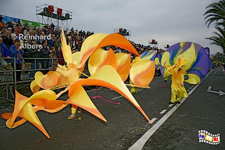 Nizza - Karneval, Frankreich, France, C�te, Azur, Nizza, Nice, foreal, Albers, Foto, Bild, Karneval
