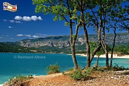 Am Ufer des Lac de Sainte Croix, Frankreich, France, Provence, Lac, Sainte, Croix, Albers, foreal, Bild, Foto, Stausee