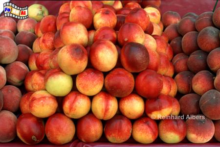 Toulon - Cours Lafayette Markt, Frankreich, France, Cte, Azur, Toulon, Cours Fayette, foreal, Albers, Foto,