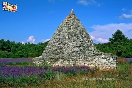 Provence - Lavendelblte mit Steinhtte (Borie), Frankreich, France, Provence, Lavendel, foreal, Albers, Bild, Foto