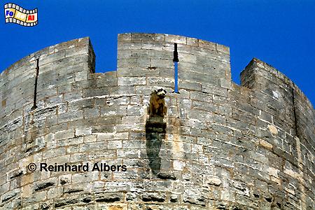 Aigues Mortes - Festungsturm, Frankreich, France, Camargue, Aigues, Mortes, foreal, Albers, Foto, Bild, Festungsmauer, Rempart