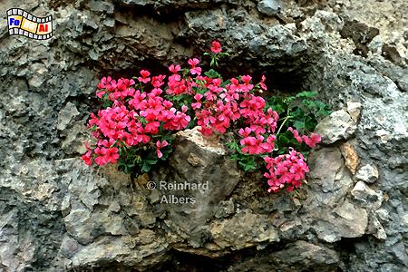 Felsennische in Moustier-Sainte-Marie, 