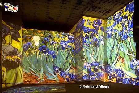 Van-Gogh-Show in der Cathdrale d images bei les Baux, Frankreich, France, Provence, Baux, Gogh, images, foreal, Albers