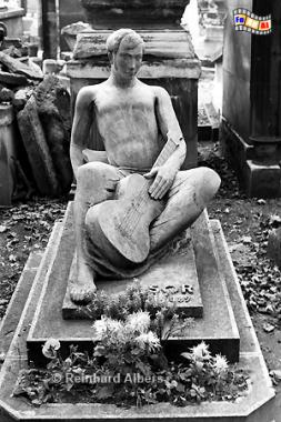Friedhof Montmartre, Paris, Friedhof, Cimtire, Montmartre, Albers, Foto, foreal,