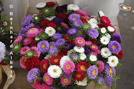 Markt, Boulevard de Grenelle., Paris, Markt, march�, Grenelle, Albers, Foto, foreal,