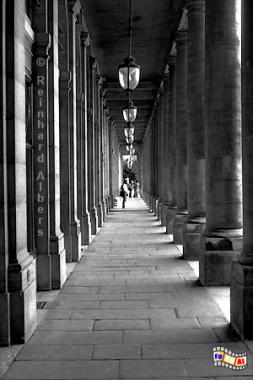 Sulengang im Ehrenhof des Palais Royal,, Paris, Palais, Royal, Ehrenhof, Albers, Foto, foreal,