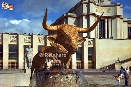 Stierkopfskulptur vor dem Palais Chaillot., Paris, Palais Chaillot, Trocad�ro, Stier, Albers, Foto, foreal,