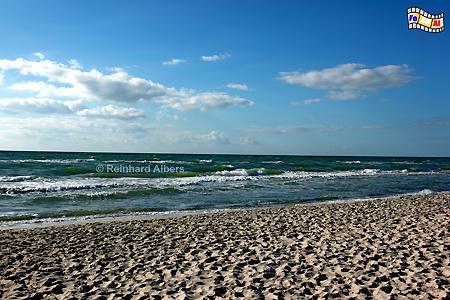 Darer Ort - Strand, Mecklenburg, Ostseekste, Darss, Darer Ort, Strand, Albers, Foto, foreal,