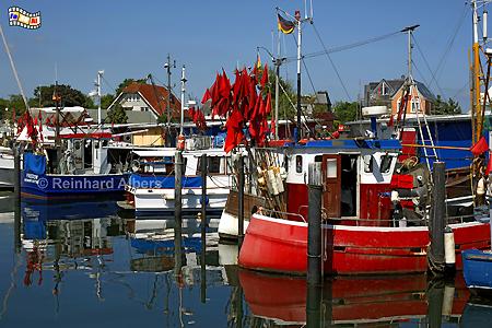 Niendorf an der Ostsee - Hafen mit Fischerboten, Ostsee, Ostseek�ste, Niendorf, Fischer, Hafen, Foto, Albers, foreal, Boote,