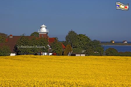 Ostseek�ste bei Strandhusen �stlich von Heiligenhafen., Ostsee, Ostseek�ste, Ostholstein, Strandhusen, Rapsbl�te, Albers, Foto, foreal,