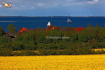 Ostseek�ste bei Strandhusen �stlich von Heiligenhafen, Ostsee, Ostseek�ste, Ostholstein, Strandhusen, Rapsbl�te, Albers, Foto, foreal,