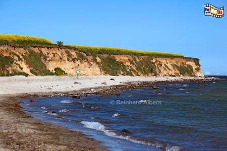 Insel Fehmarn - Steilkste bei Wulfen, Ostseekste, Fehmarn, Rapsblte, Ostsee, Albers, Foto, foreal,