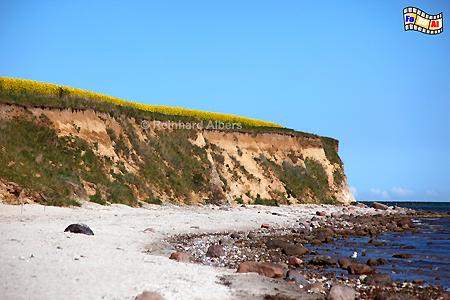 Insel Fehmarn - Steilkste bei Wulfen, Ostseekste, Fehmarn, Steilufer, Wulfen, Ostsee, Albers, Foto, foreal,