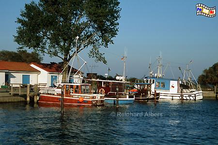 Hiddensee - Hafen von Neuendorf am Abend., Hiddensee, Ostsee, Ostseekste, Neuendorf, Albers, Foto, foreal,