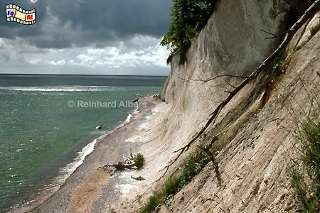 Kriedefelsen im Nationalpark Jasmund , Rgen, Steilkste, Kreidefelsen, Ostsee, Ostseekste, Mecklenburg, Albers, Foto, foreal,