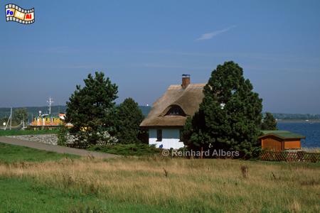 Auf Hiddensse., Hiddensee, Ostsee, Ostseekste, Albers, Foto, foreal,