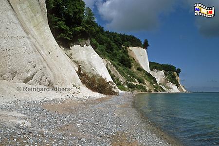 Rgen - Kreidefelsen im Nationalpark Jasmund., Rgen, Kreidefelsen, Jasmund, Albers, foreal, Foto, Mecklenburg,