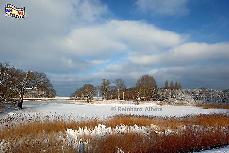 Winterlandschaft am Olpenitzer Noor., Winter, Olpenitz, Noor, Schwansen, Schlei, Albers, Foto, foreal,