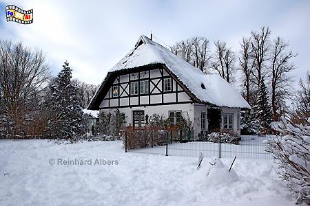 Sieseby im Winter, Sieseby, Schlei, Schwansen, Foto, foreal, Winter, Albers,