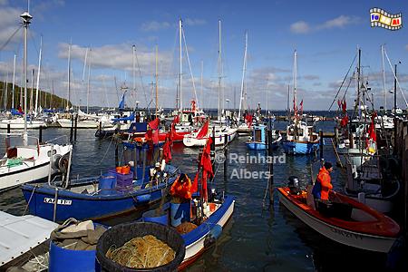 Hafen von Langballigau an der Flensburger Frde., Flensburger Frde, Ostsee, Langballigau, Hafen, Ostseekste, Albers, Foto, foreal,