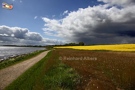 An der Schlei (Nordufer) bei Arnis., Schleswig-Holstein, Schlei, Arnis, Ostseekste, Albers, Foto, foreal,