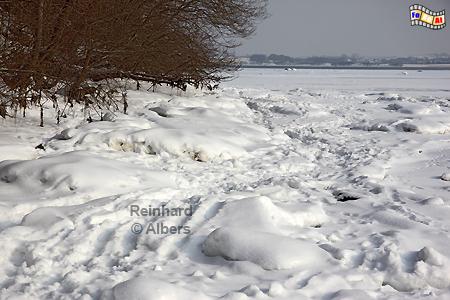 Ostseekste bei Holnis im Winter., Ostseekste, Holnis, Winter, Eis, Albers, Foto, foreal,