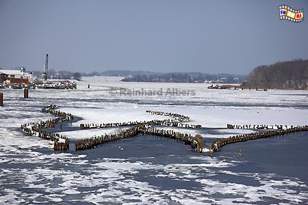 Kappeln an der Schlei - Heringszune., Schleswig-Holstein, Kappeln, Schlei, Heringszune, Albers, Foto, foreal,