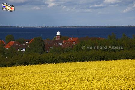 Ostseekste bei Strandhusen stlich von Heiligenhafen., Ostsee, Ostseekste, Ostholstein, Strandhusen, Rapsblte, Albers, Foto, foreal,