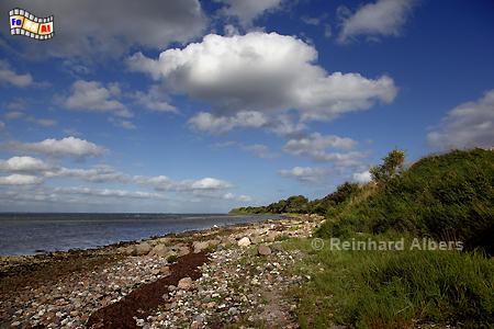 Ostseekste bei Nieby in der Flensburger Frde., Ostseekste, Flensburger, Frde, Nieby, Albers, Foto, foreal,