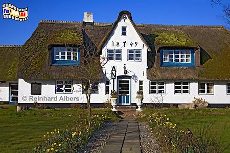 Westerland Friesenhaus, Sylt, Westerland, Friesenhaus, foreal, Albers