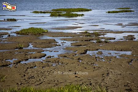 Watt/Schlick am Morsumkliff, Sylt, Morsum, Watt, Schlick, foreal, Albers