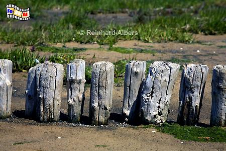Holzbuhne am Morsumkliff, Sylt, Buhne, Morsum, Kliff, foreal, Albers