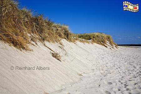 Westkste vor Hrnum., Hrnum, Dnen, Steilkste, Sylt, foreal, Albers,
