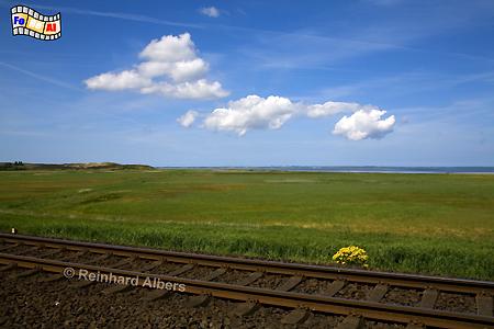 Am Hindenburgdamm, Sylt, Hindenburgdamm, Zug, foreal, Albers,