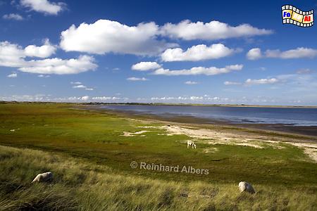 Sylt - ehemaliger Knigshafen im Norden der Insel., Sylt, Knigshafen, Ellenbogen, foreal, Albers,
