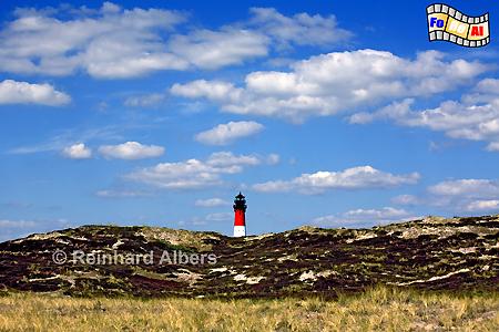 Dnenlandschaft sdlich von Hrnum, Sylt, Dnen, Hrnum, Kueste, foreal, Albers