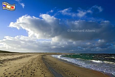 Ellenbogen Nordküste, Sylt, Ellenbogen, Strand, Nordesee, Schweinebucht, Kueste, foreal, Albers, Foto,
