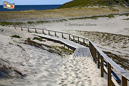 Dnen sdlich von Hrnum, Sylt, Dnen, Hrnum, Kueste, foreal, Albers