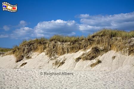 D�nen s�dwestlich von H�rnum, Sylt, D�nen, H�rnum, Kueste, foreal, Albers